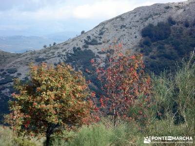 Montaña palentina;senderismo de ensueño senderismo vip